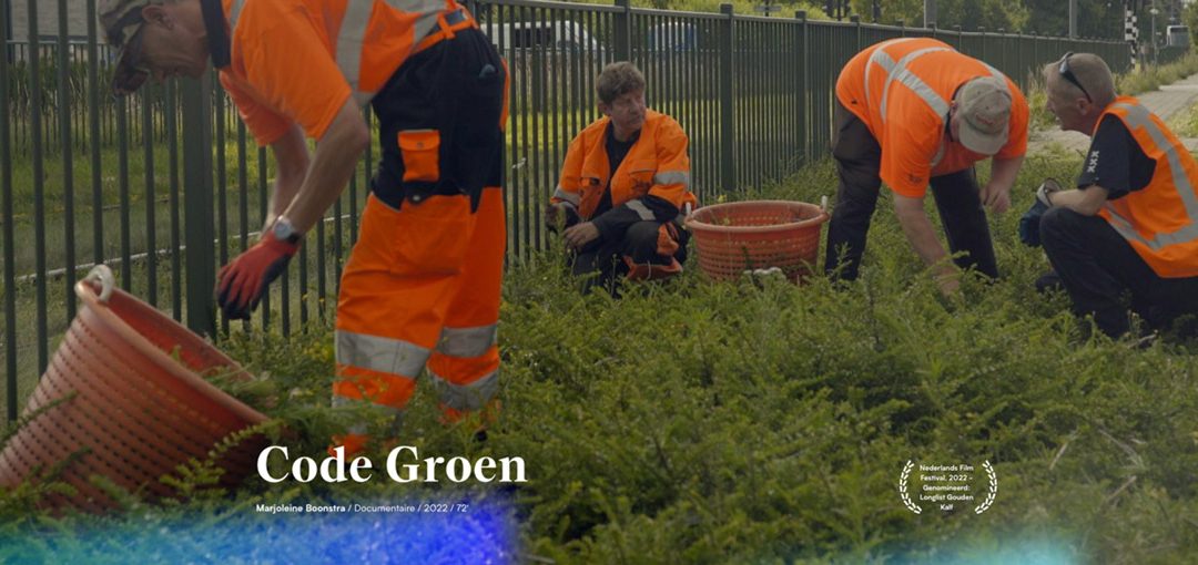 Code groen